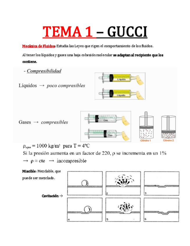 Miniatura del documento Santa-Trinidad-de-Fluido.pdf