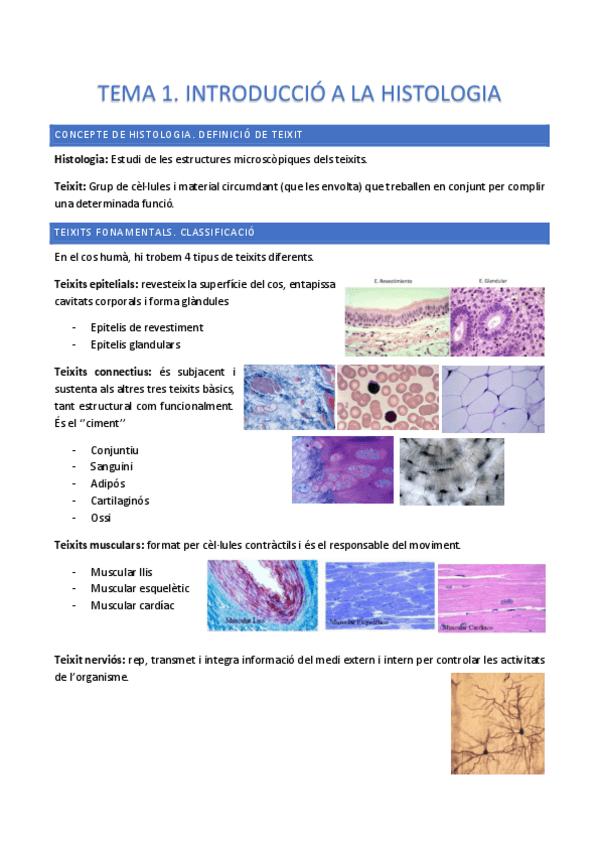 Miniatura del documento HISTOLOGIA-COMPLET.pdf