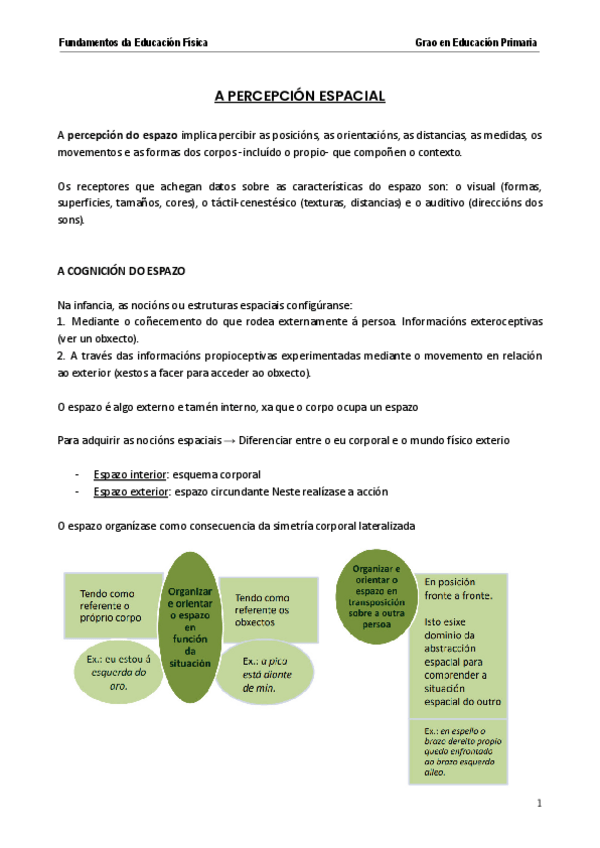Miniatura del documento percepcion-espacial.pdf