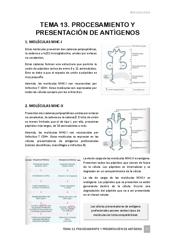 Miniatura del documento TEMA-13.pdf