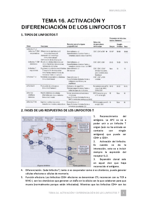 Miniatura del documento TEMA-16.pdf