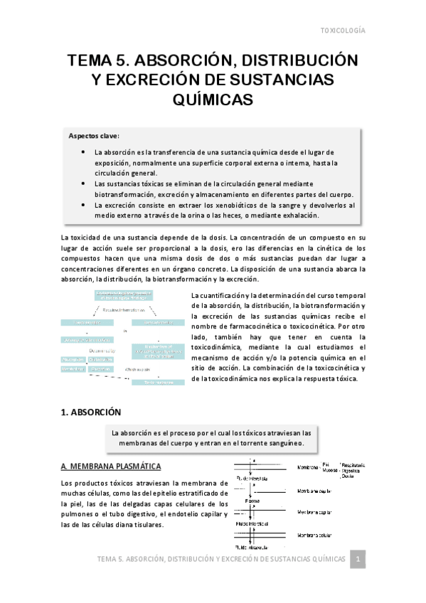 Miniatura del documento TEMA-5.pdf