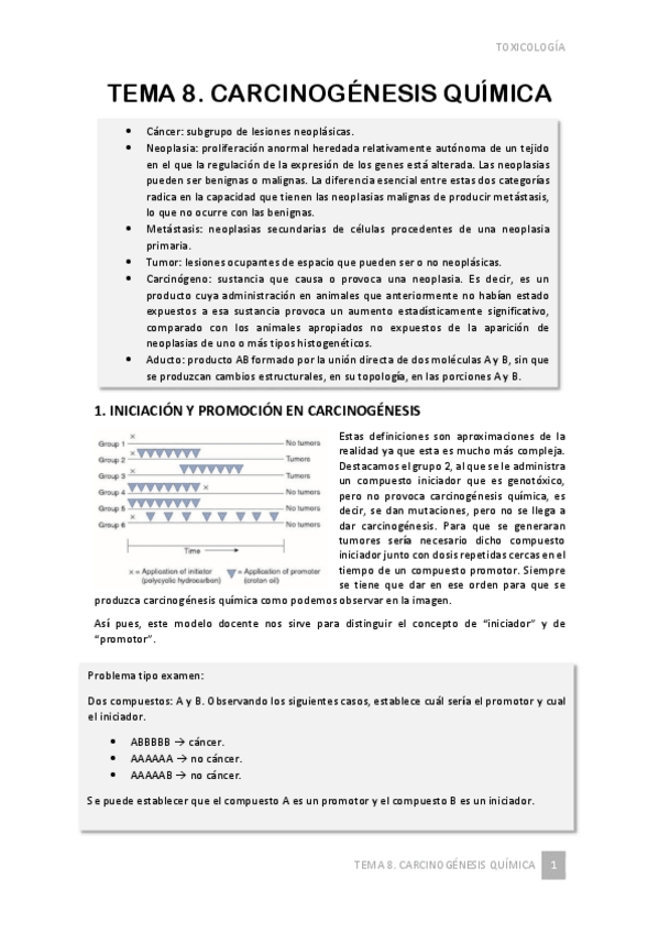 Miniatura del documento TEMA-8.pdf