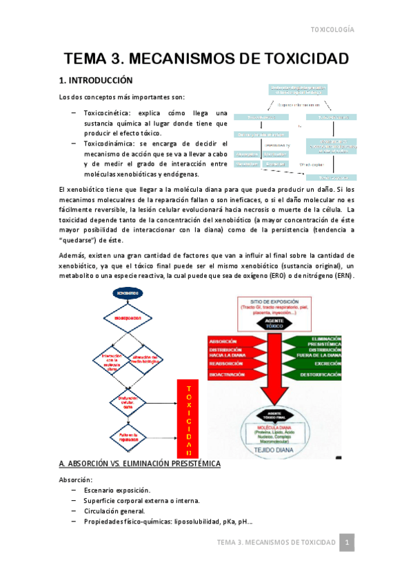 Miniatura del documento TEMA-3.pdf