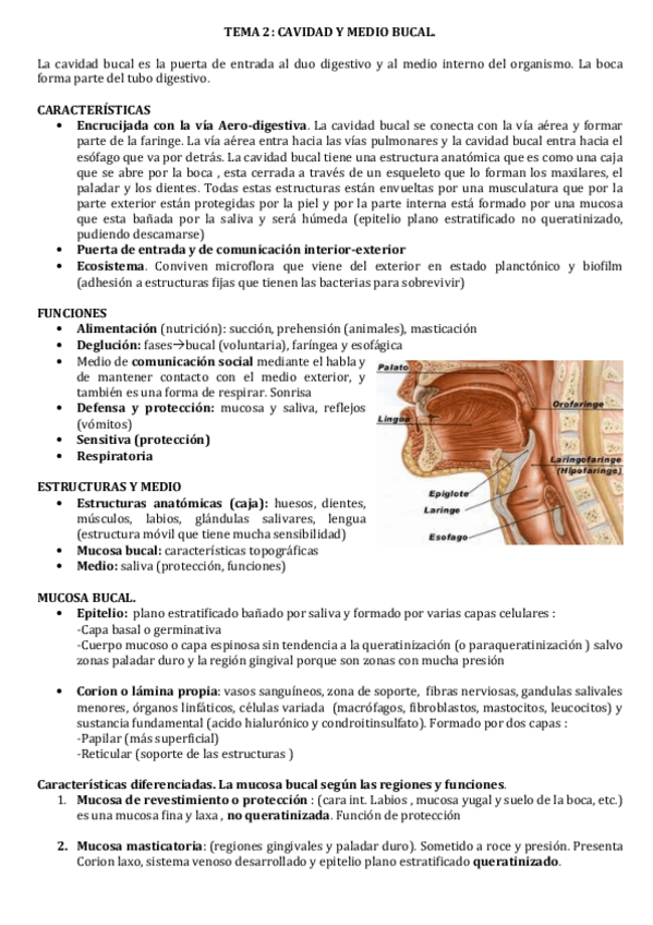 Miniatura del documento TEMA-2.pdf