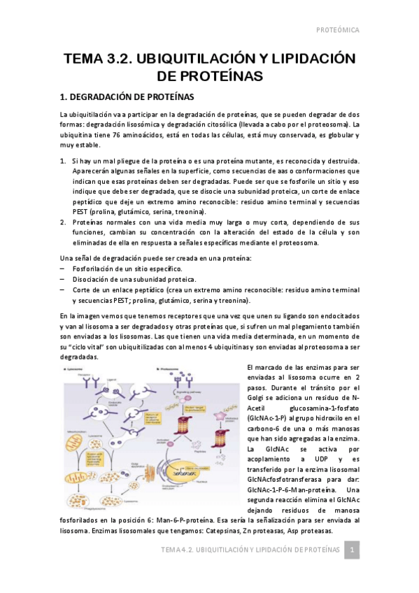 Miniatura del documento Tema-3.pdf