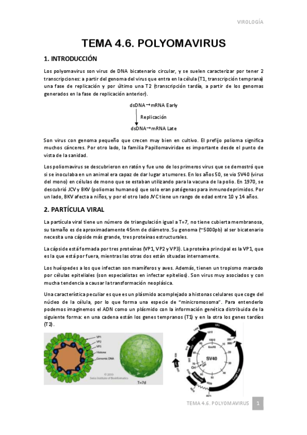 Miniatura del documento Tema-4.pdf
