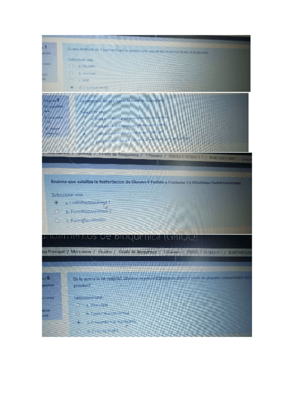 Miniatura del documento Cuestionarios-Tipo-Test.pdf