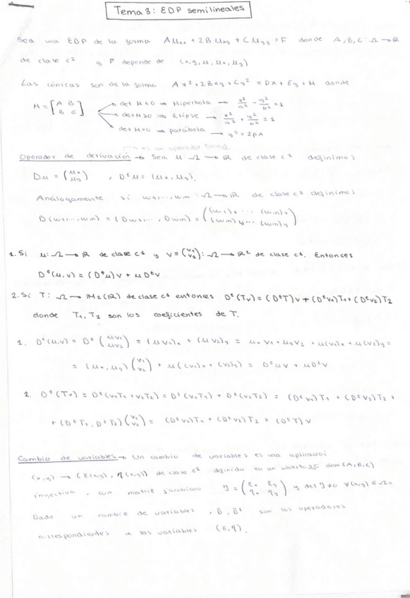 Miniatura del documento Tema-3-EDPcompressed.pdf