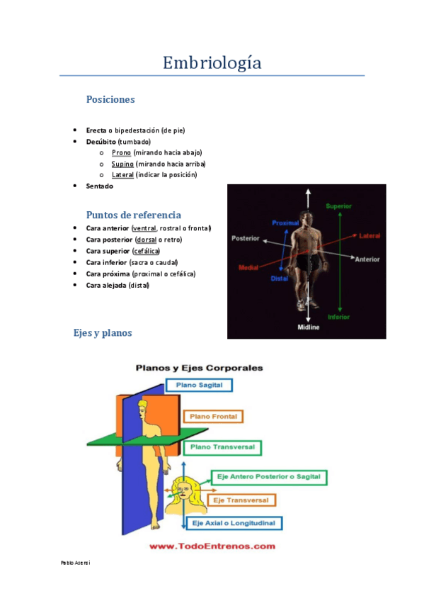 Miniatura del documento Anatomia Humana.pdf