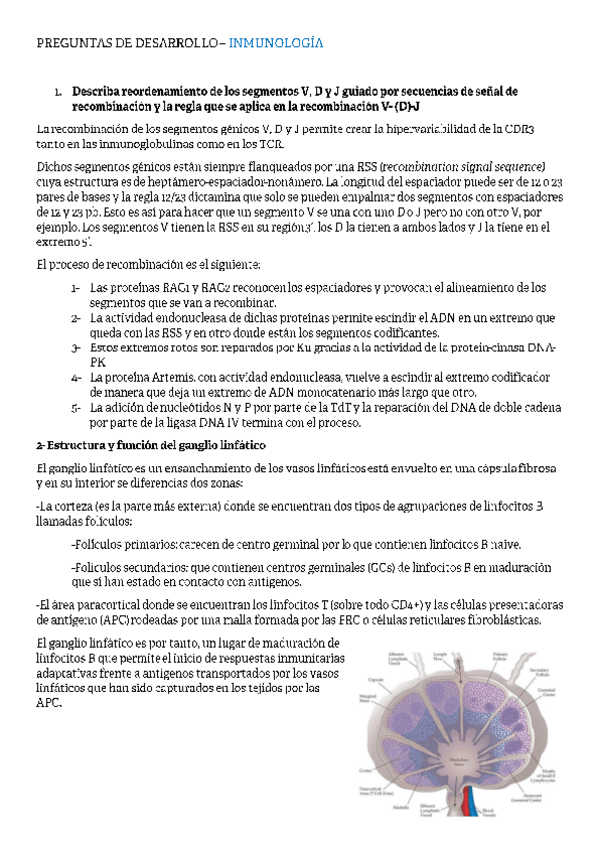 Miniatura del documento Preguntas-examen-inmunologia.pdf