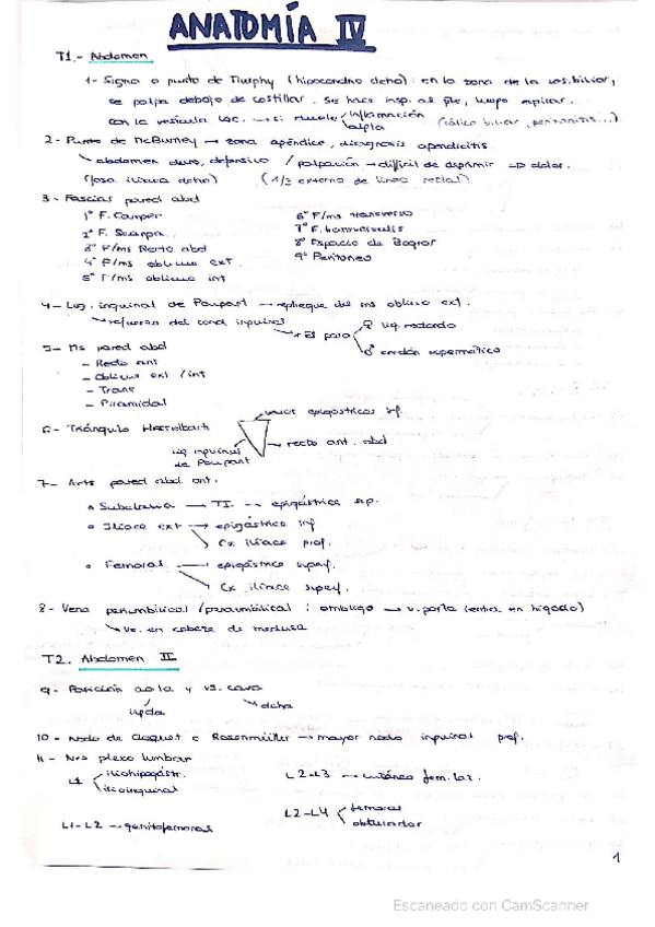 Miniatura del documento Lo-mas-importante-de-anato-IV.pdf