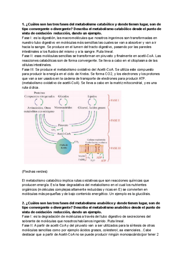 Miniatura del documento examen-bioquimica-2.pdf