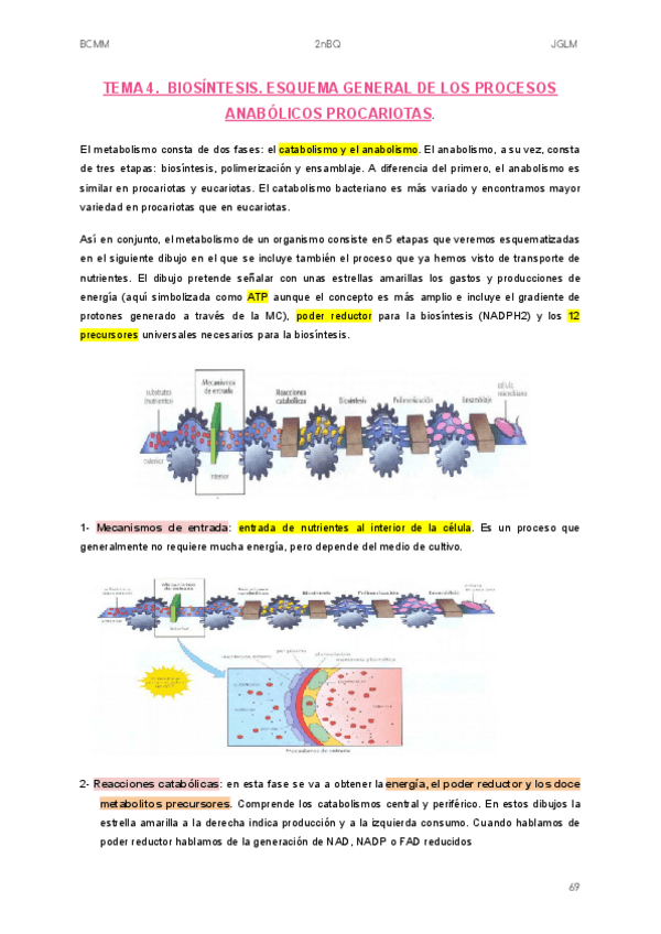 Miniatura del documento TEMA-4.pdf