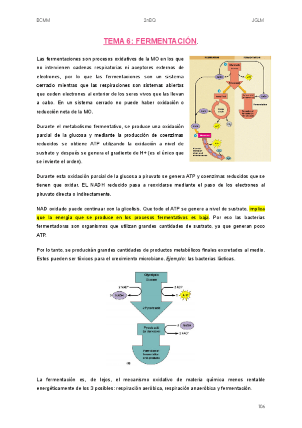 Miniatura del documento TEMA-6.pdf
