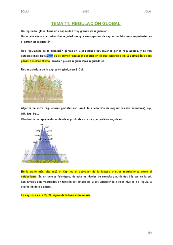 Miniatura del documento TEMA-11.pdf
