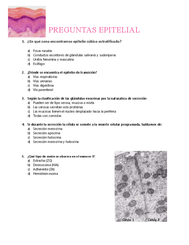 Miniatura del documento Preguntas-epitelio-revestimiento-y-glandular.pdf