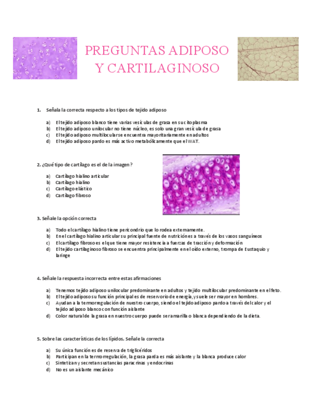 Miniatura del documento forms-adiposo-y-cartilaginoso.pdf