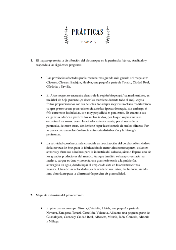 Miniatura del documento practicas-tema-5-geografia.pdf