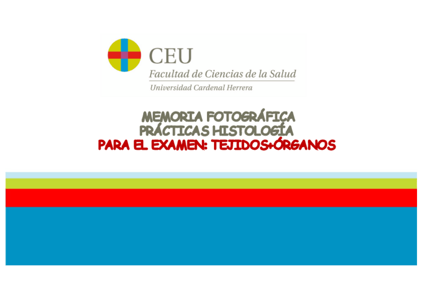 Miniatura del documento Memoria-fotografica-de-practicas-1.pdf