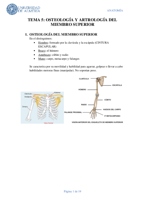 Miniatura del documento TEMA-5.pdf
