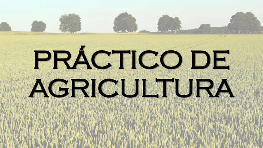Miniatura del documento PRACTICO-DE-AGRICULTURA.pdf