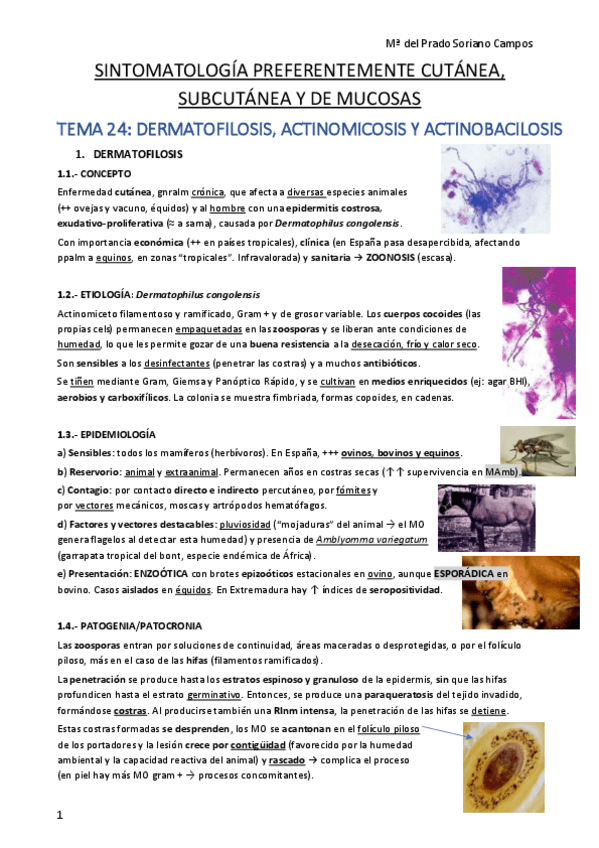 Miniatura del documento 3er-parcial-20-21-.pdf