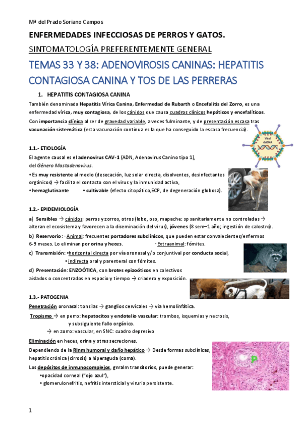 Miniatura del documento 4o-parcial-20-21.pdf