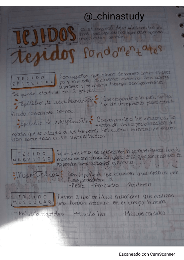 Miniatura del documento TEJIDOS.pdf