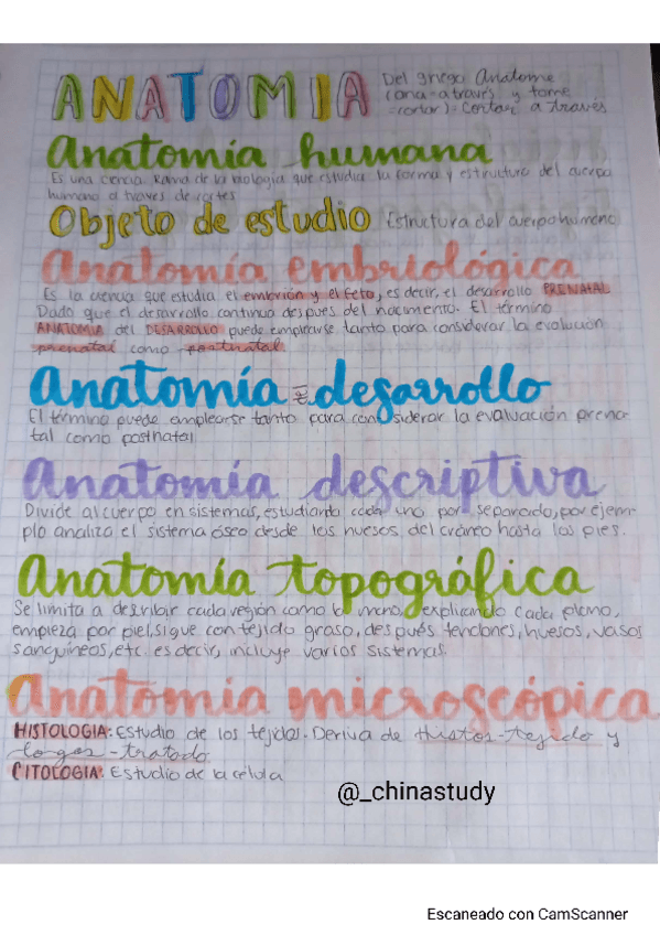 Miniatura del documento ANATOMIA.pdf