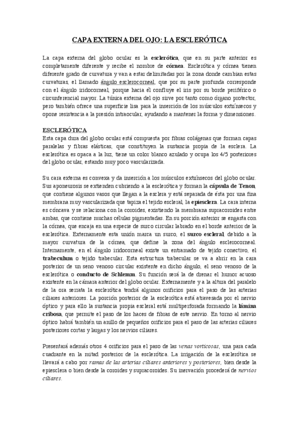 Miniatura del documento CAPA-EXTERNA-DEL-OJO.pdf