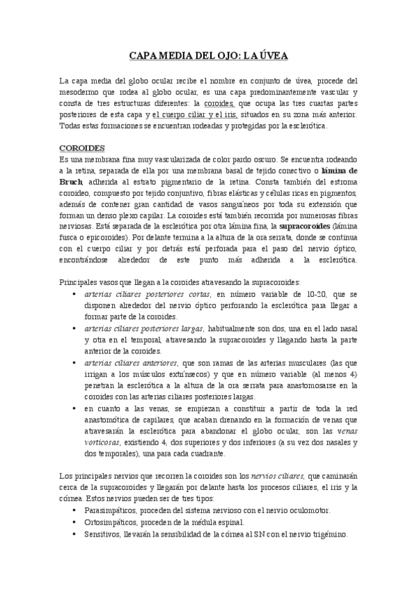 Miniatura del documento CAPA-MEDIA-DEL-OJO-UVEA.pdf