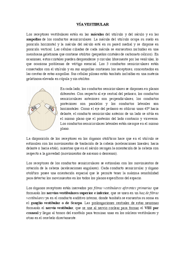 Miniatura del documento VIA-VESTIBULAR.pdf