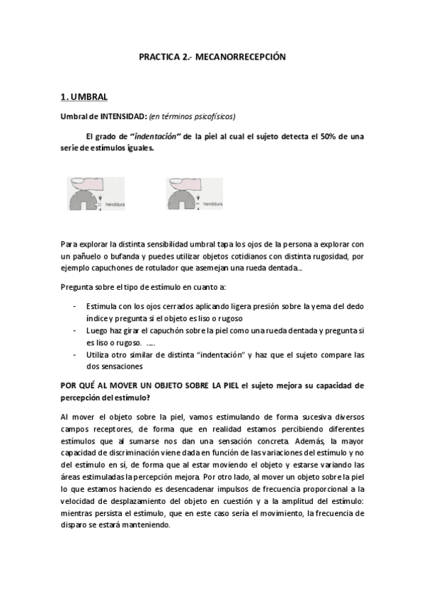 Miniatura del documento PRACTICA-2-MECANORRECEPCION.pdf