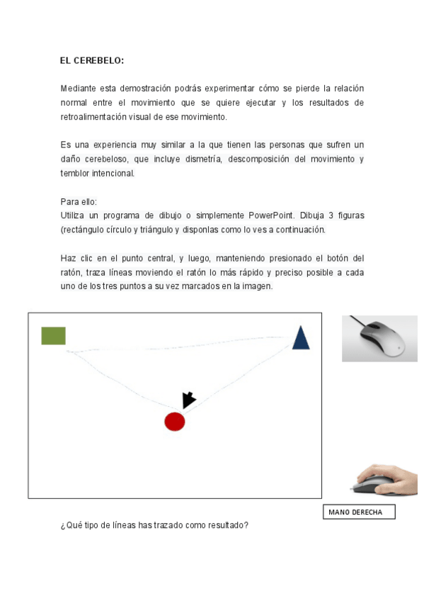 Miniatura del documento DEMO-CEREBELO.pdf