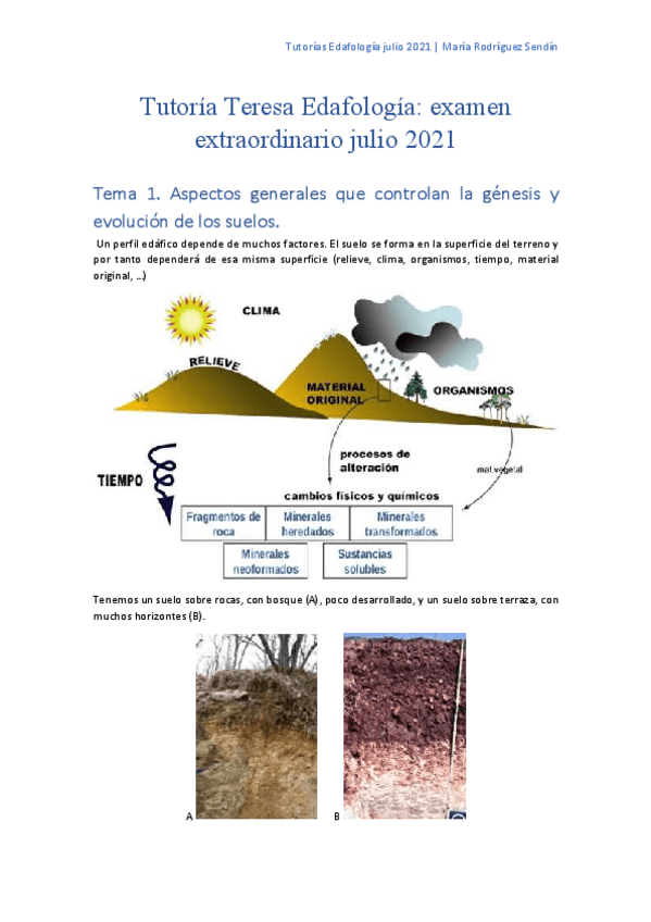 Miniatura del documento Tutoria-Teresa.pdf