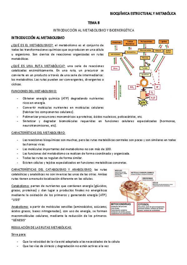 Miniatura del documento TEMA-8.pdf
