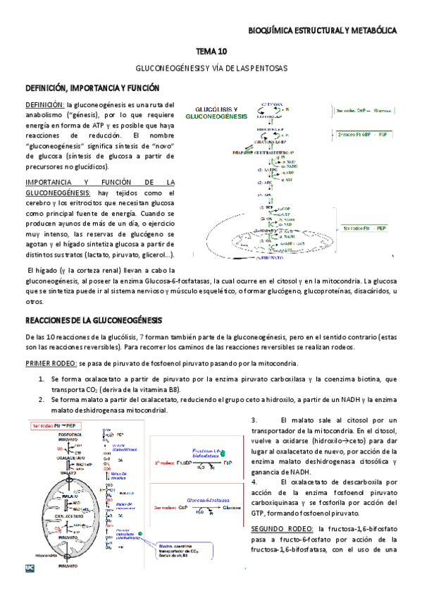 Miniatura del documento TEMA-10.pdf