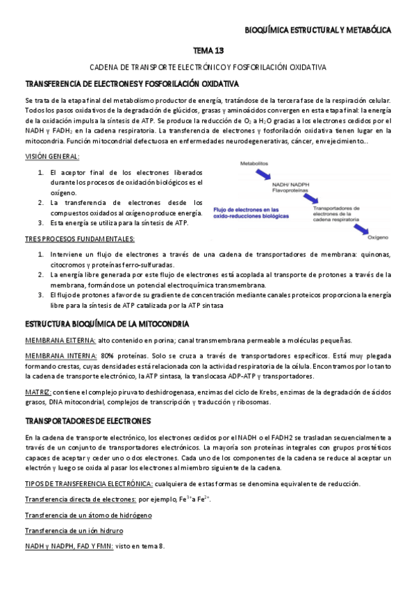 Miniatura del documento TEMA-13.pdf