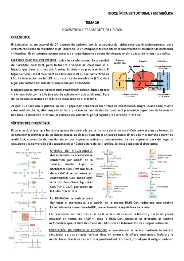 Miniatura del documento TEMA-16.pdf