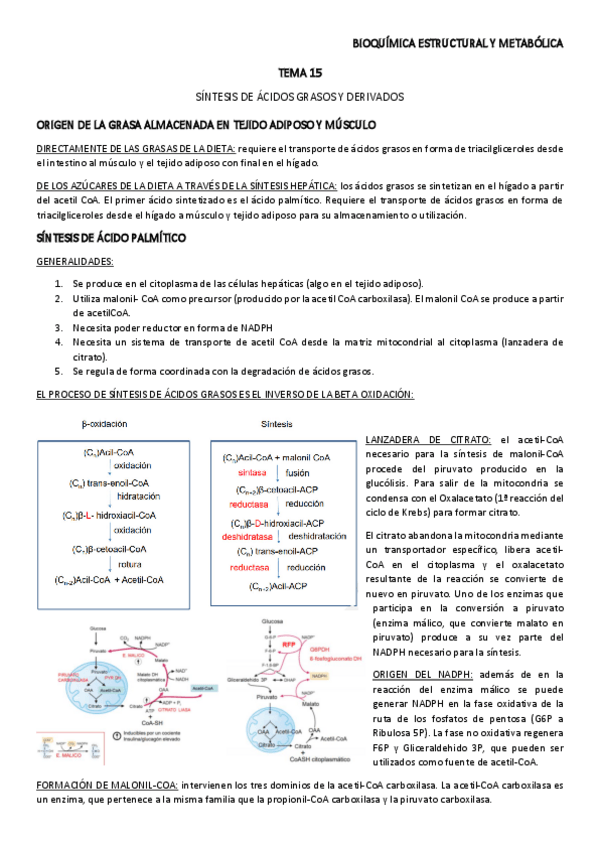Miniatura del documento TEMA-15.pdf