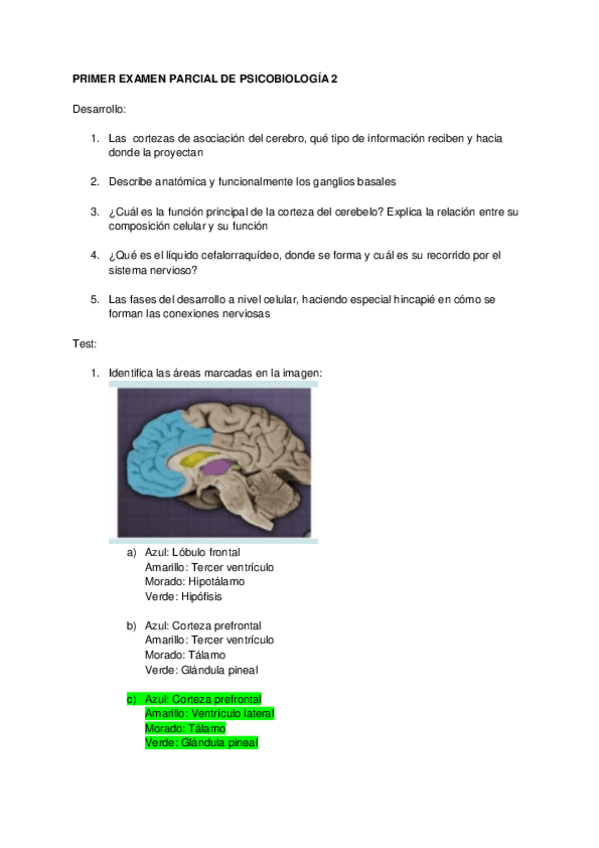 Miniatura del documento Parcial-1-Psicobio-2.pdf