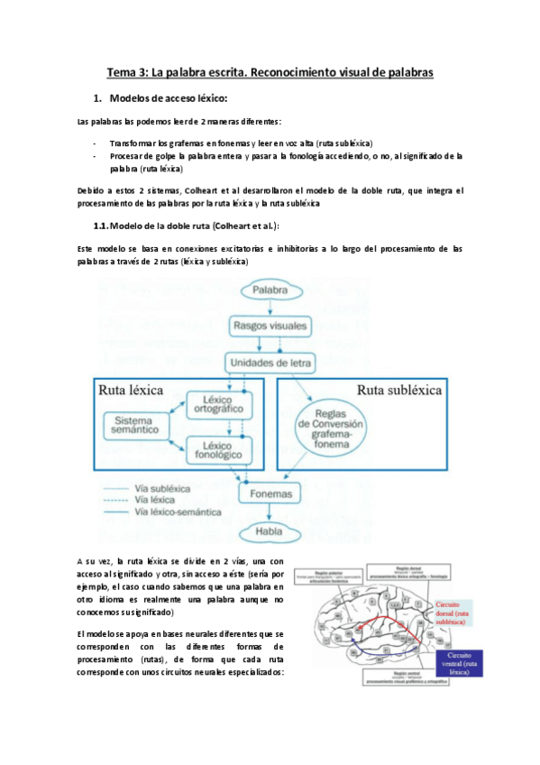 Miniatura del documento Tema 3 word.pdf