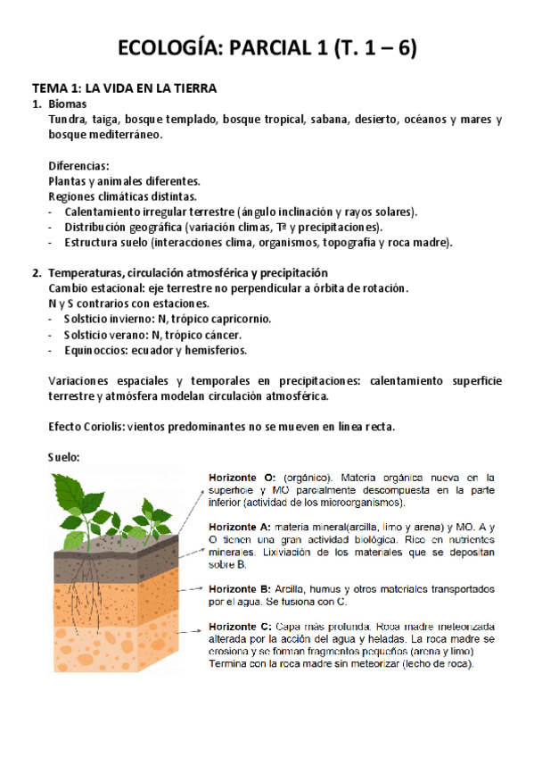 Miniatura del documento Resumen.pdf