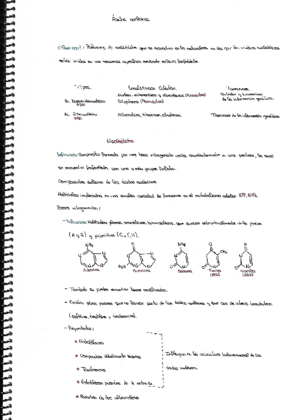Miniatura del documento Acidos-Nucleicos.pdf