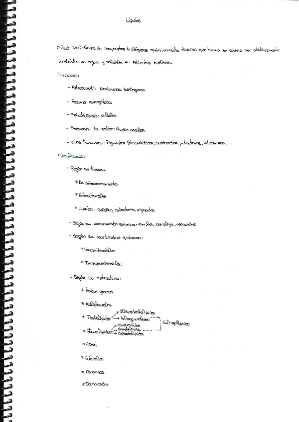 Miniatura del documento Lipidos.pdf
