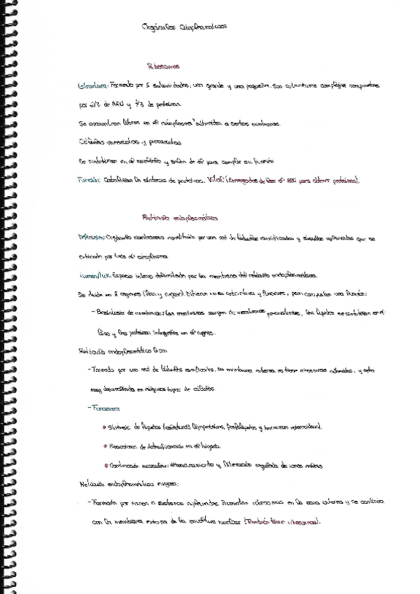 Miniatura del documento Organulos-Citoplasmaticos.pdf