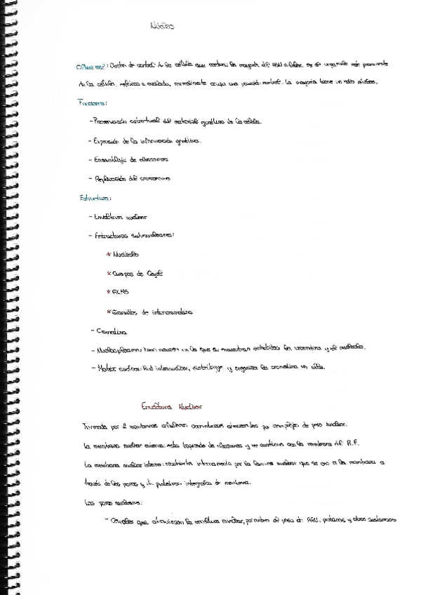 Miniatura del documento Nucleo.pdf