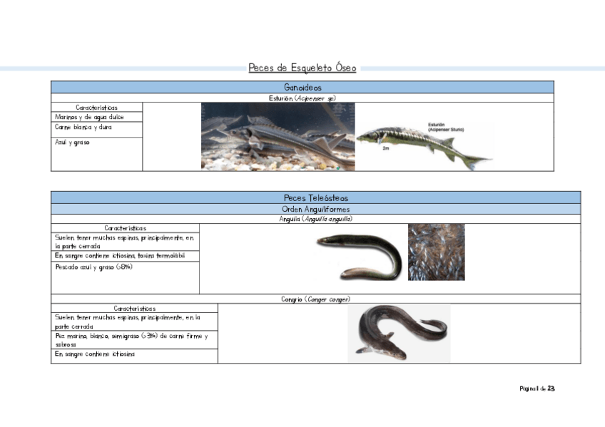Miniatura del documento Oseos.pdf