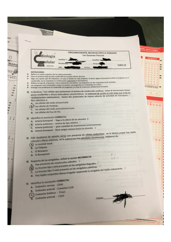 Miniatura del documento examen-primera-triada-organo.pdf